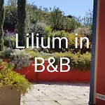 Lilium In Bed & Breakfast