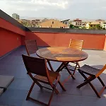 Lilium In Gela