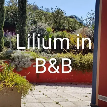 Lilium In Bed and Breakfast